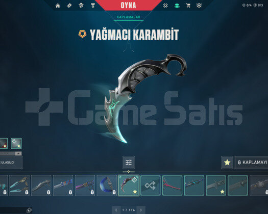 YAĞMACI KARAMBİT/UZAY AVCI/ONİ E-POSTA HESAP
