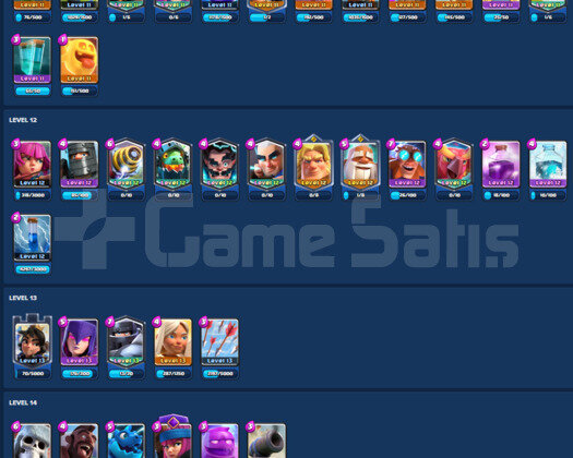 IDSİZ | LVL 14 DESTE | LVL 14 6 KART |