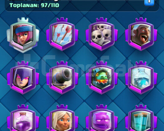 IDSİZ | LVL 14 DESTE | LVL 14 6 KART |