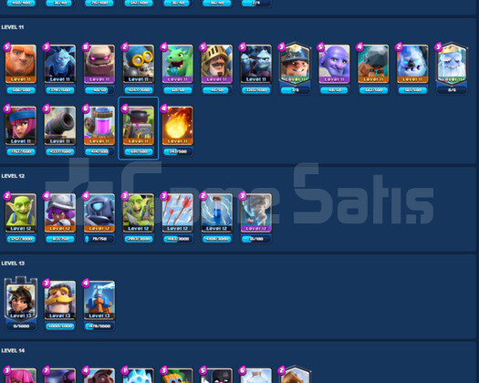 IDSİZ | LVL 14 DESTE | LVL 14 8 KART |