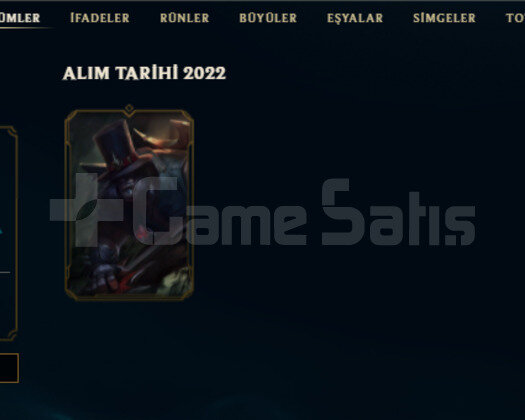 TR 2022 KURULUM 1 SKIN 26 HERO GOBLIN BRONZ BOTTED