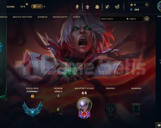 WEST Plat 1 40 LP 4 SKİN HESAP