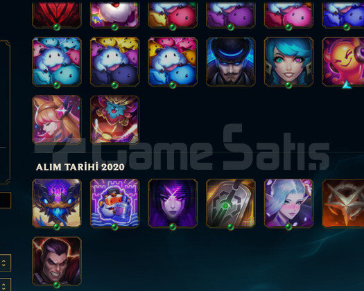 TR 2020 KURULUM 0W 5L 14SKIN 47HERO HANDMADE