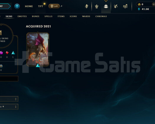 TR DEMİR 2 S11 HESABI 41.5 K MAVİ ÖZ