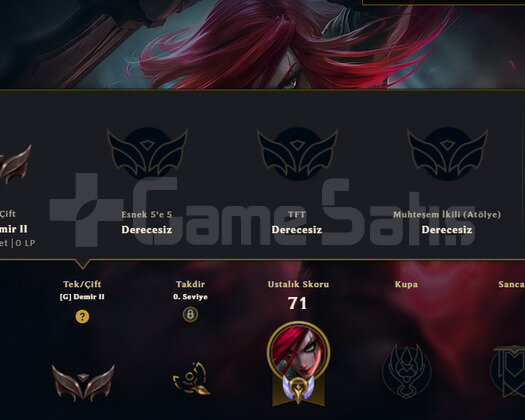 2021 HANDMADE 5 SKIN  30 HERO DEMİR 2 GOBLIN