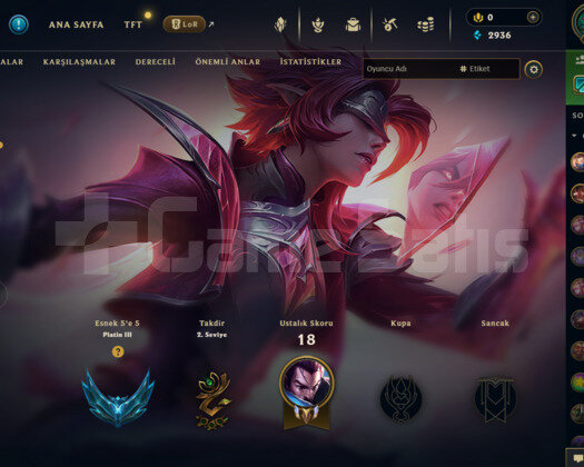 PLAT 3 HANDMADE 35 SEVİYE 5 SKİNLİ MAİLLİ HESAP!