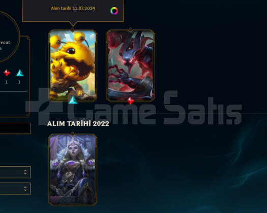 2022 KURULUM HANDMADE 3SKIN 30 HERO UNRANKEDW