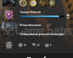 4 MADALYA + 2500 TL DEĞERİNDE OYUN 300TL ENVANTER