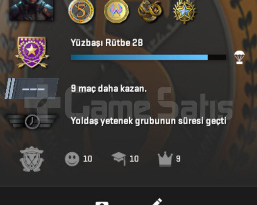 4 MADALYA + 2500 TL DEĞERİNDE OYUN 300TL ENVANTER