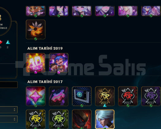 TR2017 KURULUM HANDMADE DEMİR2 7SKIN 28HERO GOBLİN