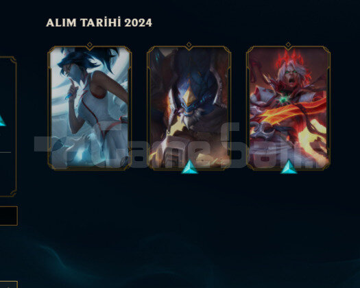 TR2024 KURULUM HANDMADE DEMİR2 3SKIN 25HERO GOBLİN