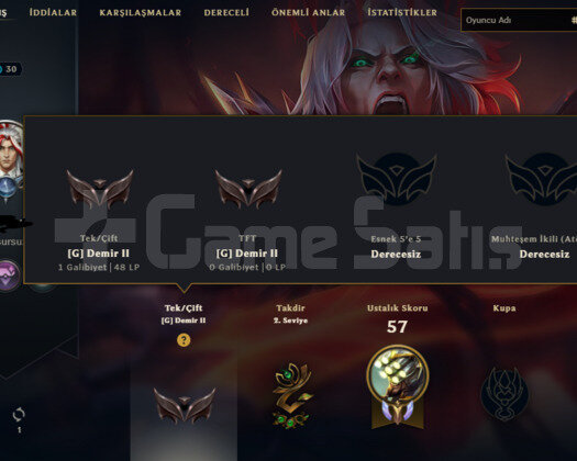 TR2024 KURULUM HANDMADE DEMİR2 3SKIN 25HERO GOBLİN