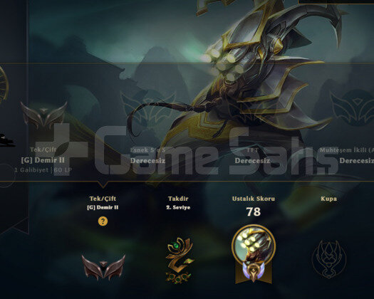 TR2016 KURULUM DEMİR HANDMADE 7SKIN 22HERO GOBLIN