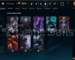TR 15 LEVEL 8 SKİNLİ HANDMADE MAİL DEĞİŞEN!!!