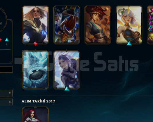 TR2017 HANDMADE KURULUM BRONZ 8SKIN 25 HERO