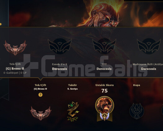 TR2017 HANDMADE KURULUM BRONZ 8SKIN 25 HERO