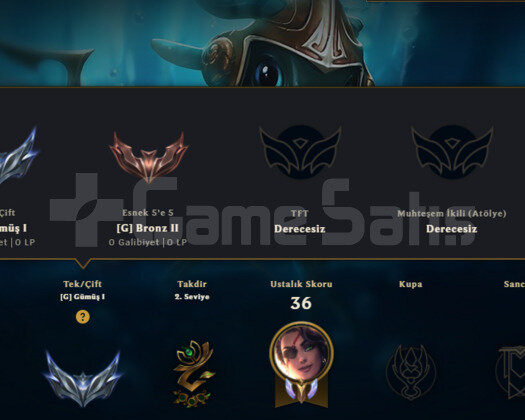 TR 2022 KURULUM HANDMADE SİLVER3 3SKIN 31HERO