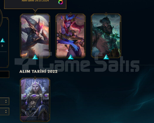 TR2022 KURULUM BRONZ 1 HANDMADE 4 SKIN 32HERO