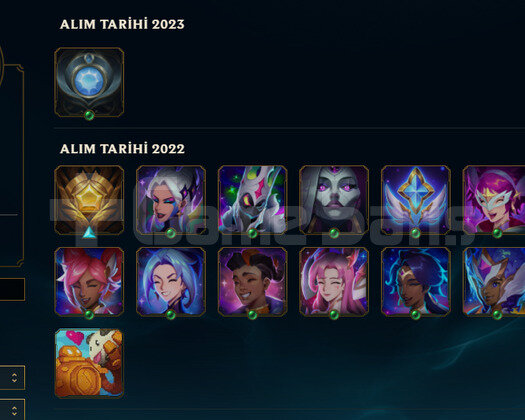TR2022 KURULUM BRONZ 1 HANDMADE 4 SKIN 32HERO
