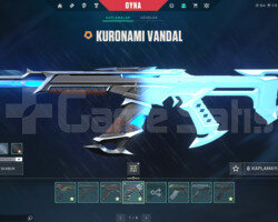 KAOS BAŞLANGIÇ/KURONAMİ/YAĞMACI E-POSTA HESAP