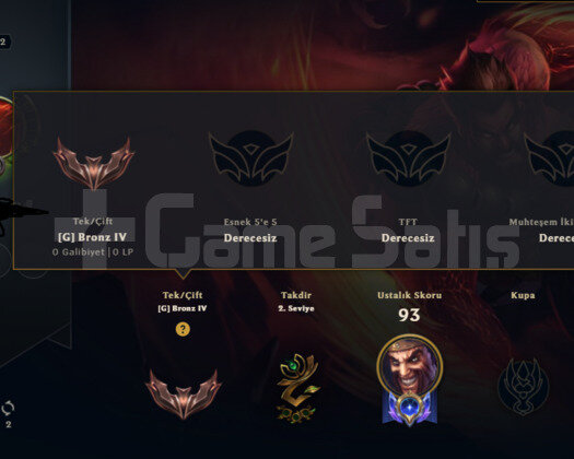 TR2014 BRONZ4 HANDMADE 2EBEDİ 20SKIN 59HERO FIRSAT