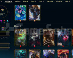 TR 2015 KAYIT 178 SKIN 142 HERO HANDMADE GOLD ACC