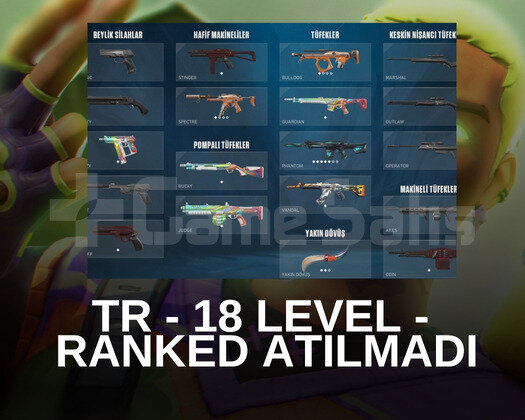 Eski kullandığım hesap - 18 level - Skinli