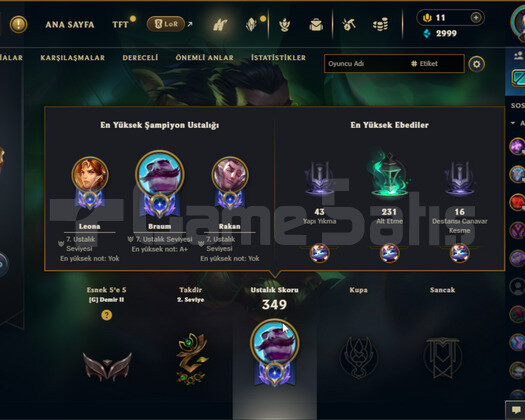 EUW 92LV 153SKİN TEL NO DOĞRULANMAMIŞ MAİL DEĞİŞEN