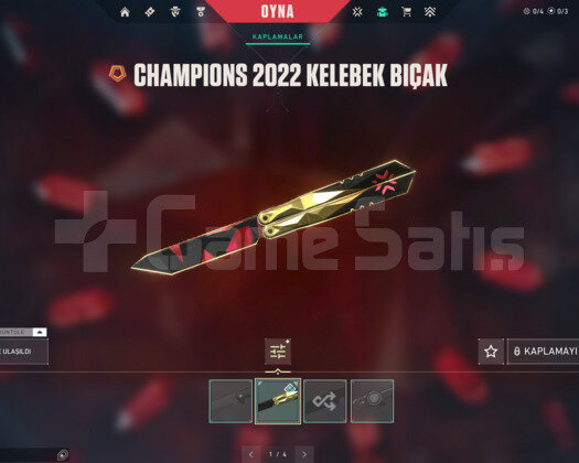 CHAMPİONS 22-23/DELİPOP/RGX/İYON E-POSTA HESAP