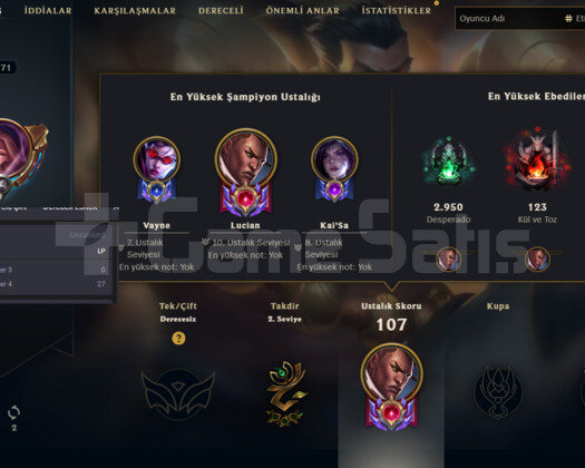 71 LVL HANDMADE EBEDI SKINLI LOL HESABI