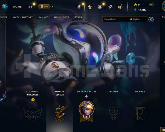 TR Unranked | 2 Kostüm - 14K Mö | LoL Hesap