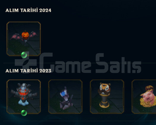 TR2023EFSANE B İRELİA HANDMADE DEMİR2 6SKIN 44HERO