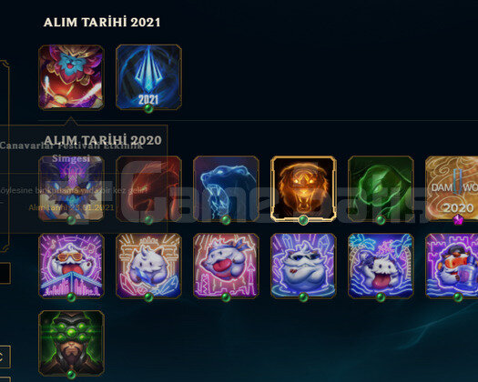 TR2021 HANDMADE DEMİR2 RUH.B UDYR 5SKIN 24 HERO