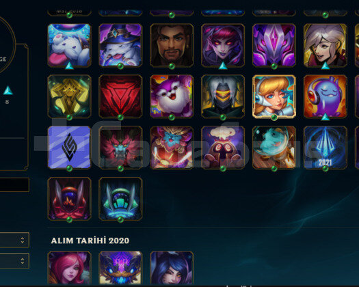 TR2020 HANDMADE DJ SONA ALTIN4 13SKIN BOL GANIMET