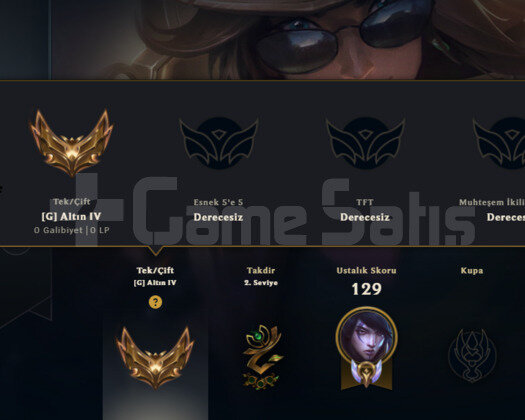 TR2020 HANDMADE DJ SONA ALTIN4 13SKIN BOL GANIMET