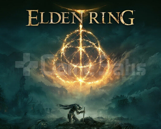 ELDEN RİNG PS4/PS5+GARANTİ
