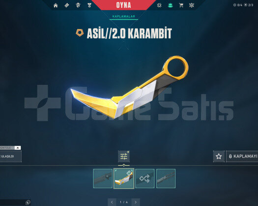 ASİL KARAMBİT/KAOS/SPECTRUM/RGX E-POSTA HESAP