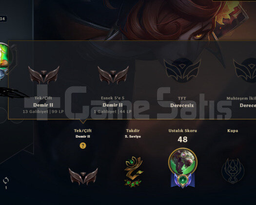 TR2023KURULUM HANDMADE DEMİR2 GOBLIN 3SKIN 26HERO