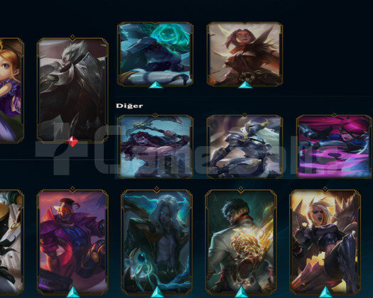 TR2020HANDMADE BRONZ4 YÜCE.K DARİ 12SKIN 48HERO