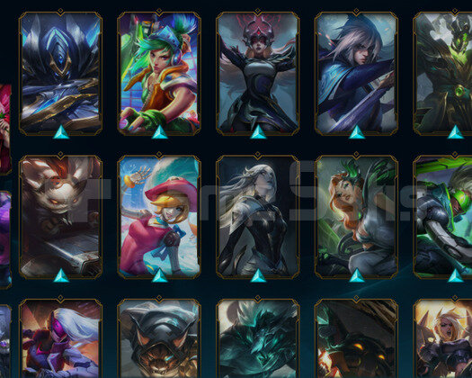 TR2018 HANDMADE BRONZ2 43SKIN 62HERO 705RP FIRSAT