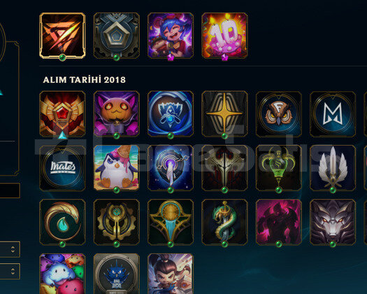 TR2018 HANDMADE BRONZ2 43SKIN 62HERO 705RP FIRSAT