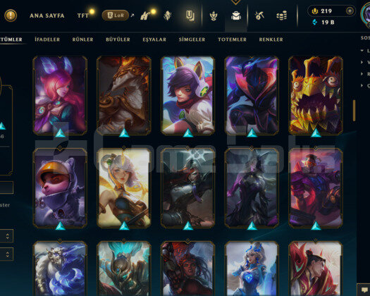 EUW- 383 LEVEL - 118 SKİN - 137 HERO MAİL DEĞİŞEN