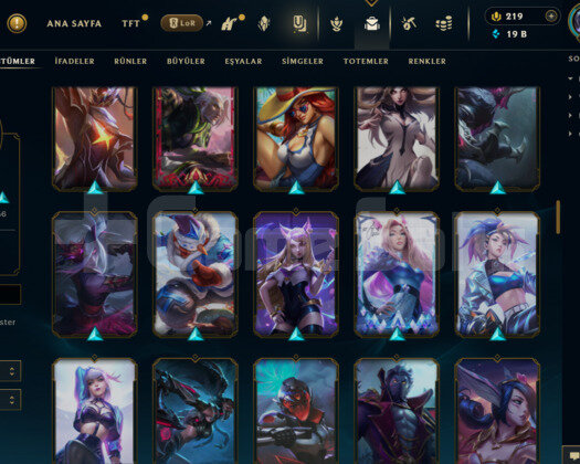 EUW- 383 LEVEL - 118 SKİN - 137 HERO MAİL DEĞİŞEN