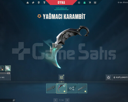 YAĞMACI KARAMBİT/KELEBEK/RGX E-POSTA HESAP