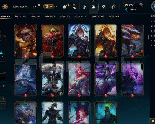 EUW- 644 LEVEL - 239 SKİN - 168 HERO MAİL DEĞİŞEN