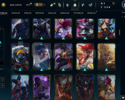EUW- 596 LEVEL - 171 SKİN - 167 HERO MAİL DEĞİŞEN