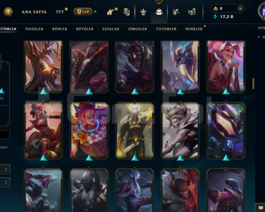 EUW- 596 LEVEL - 171 SKİN - 167 HERO MAİL DEĞİŞEN