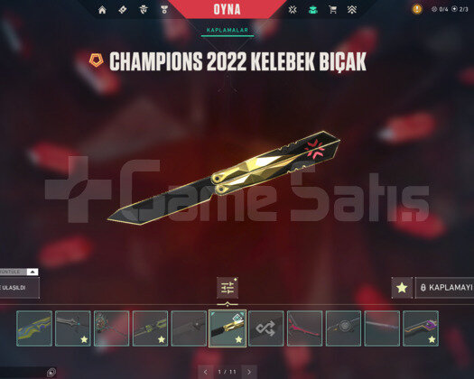 CHAMPİON 22-23/RGX KELEBEK/DELİPOP EPOSTA HESAP