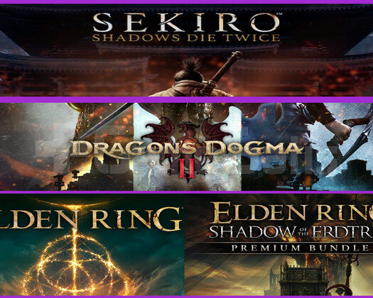 Sekiro + Dragons Dogma 2 + Elden Ring
