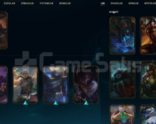TR 96 SEVIYE 21 SKIN 53 HERO HANDMADE UNRANKED ACC